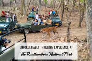 Ranthambore National Park Safari Booking