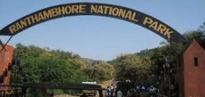 Ranthambore National Park Safari Booking